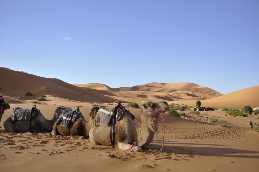 Utsikt over sanddynene i Merzouga, og leiren vår.