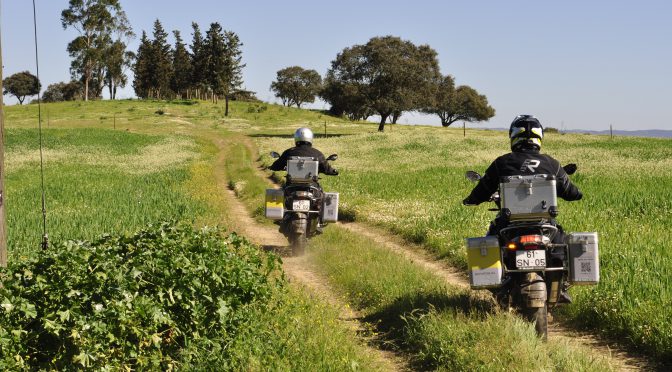 På strutsejakt med CB-mc i Portugal