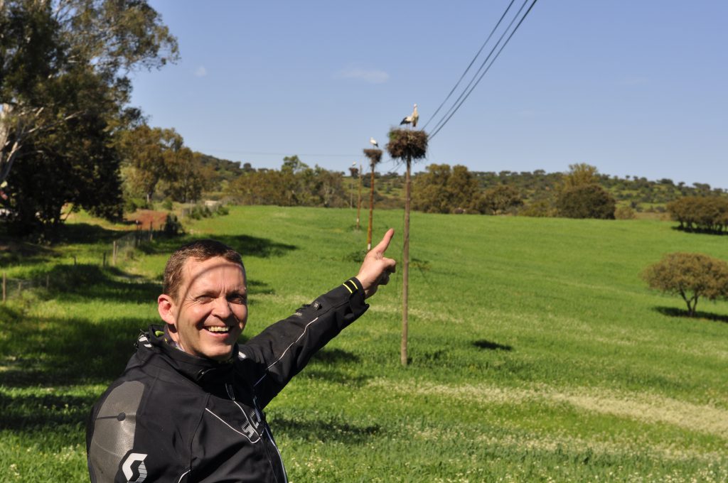 16.Artikkelforfatteren har lykkelig oppdaget stork i toppen at telefonstolpene. 