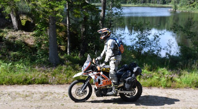 Team HH på oppdagelsesferd i de svenske skoger: